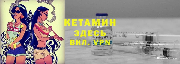 дмт Ельня