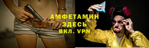 дмт Ельня