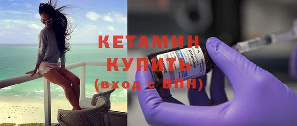 дмт Ельня