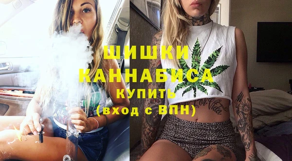дмт Ельня