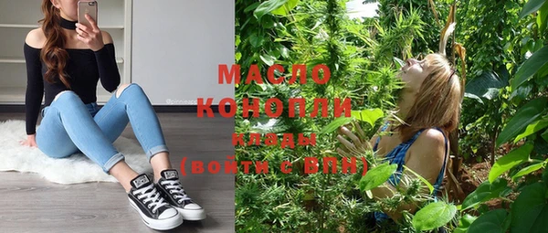 дмт Ельня