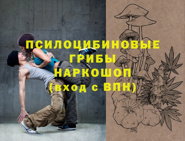 apvp Елабуга