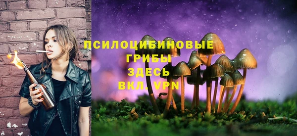 дмт Ельня