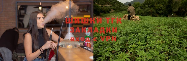 дмт Ельня